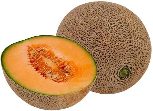 Create meme: cantaloupe muskmelon, melon bolo, cantaloupe melon