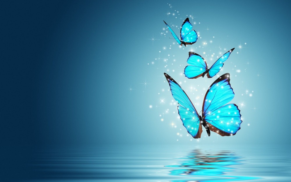 Create meme: a butterfly on a blue background, butterflies on a blue background, butterfly blue