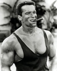 Create meme: Arnold Schwarzenegger with a cigar