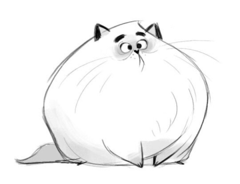 Создать мем: кот мультяшный рисунок, раскраска толстый котик, кот мультяшный