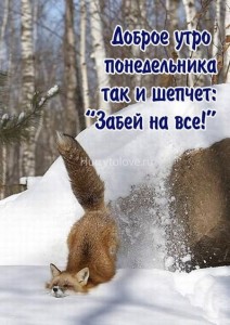 Create meme: good winter morning, funny Fox, Fox in the snow