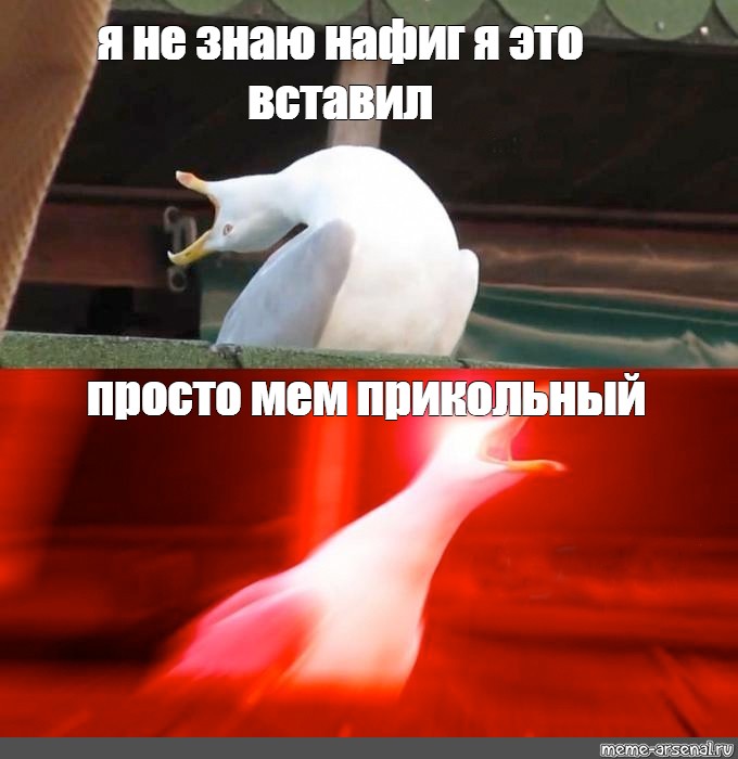 Просто вставил. Просто мемы. Смешные мемы. Было сложно Мем. Кричащие мемы.