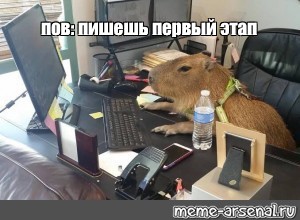 Создать мем: null