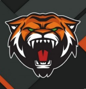 Create meme: Team Tiger, wild tigers clan in standoff, clan emblem