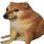 Create meme: cheems doge meme, cheems doge, Shiba inu meme