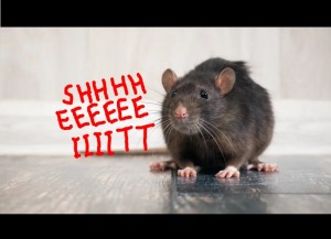 Создать мем: бешеная крыса картинки, Mouse Rat, de rat
