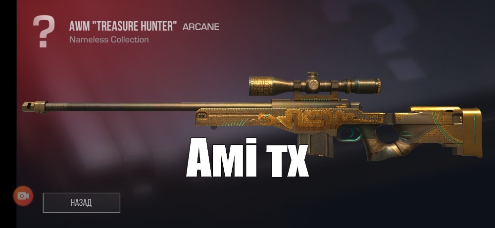 Картинка awm treasure hunter