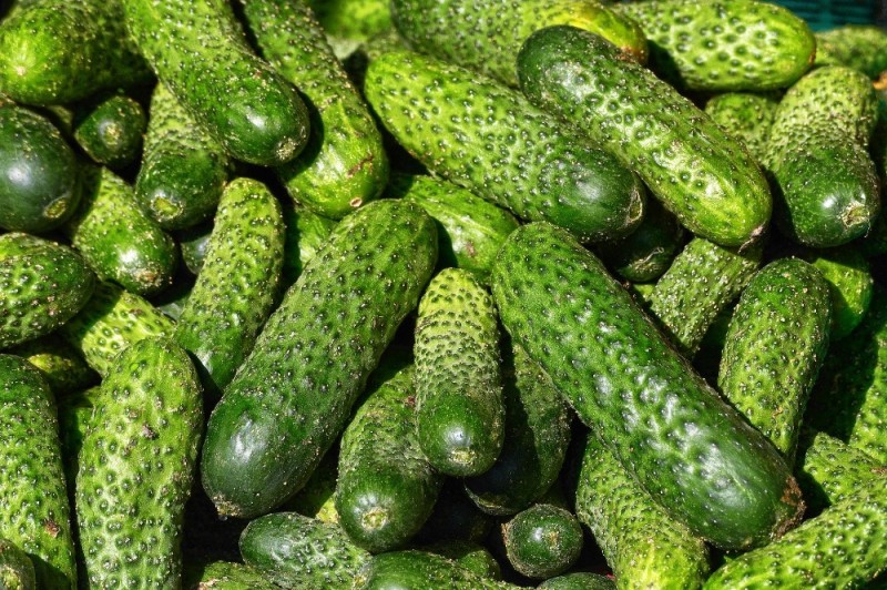 Create meme: cucumbers are a variety, cucumber asterix f1, cucumber 