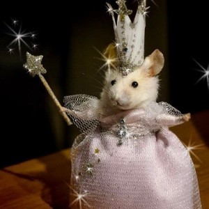 Создать мем: крысиный король, крыса в платье и с волшебной палочкой, крыса в костюме феи