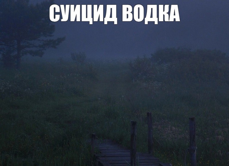 Create meme: text meme, fog in the forest, the trick 