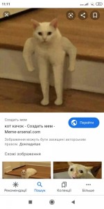 Create meme: memes, meme Polyot, my cat meme
