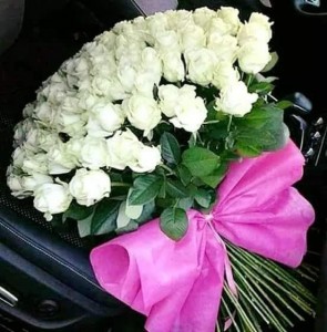 Create meme: bouquet of white roses, 101 white rose, white roses