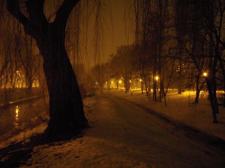 Create meme: volgograd alley in the evening, night , darkness