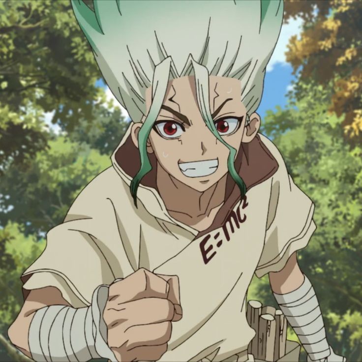 Create meme: Dr. stone anime, Dr. Stone anime characters, senku Dr. stone