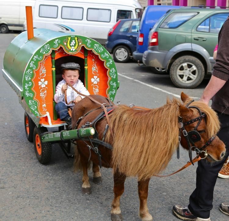 Создать мем: лошадь с телегой, horse, арба для лошади