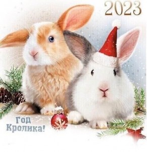 Создать мем: год кролика 2023, кролик новогодний, кролик символ 2023