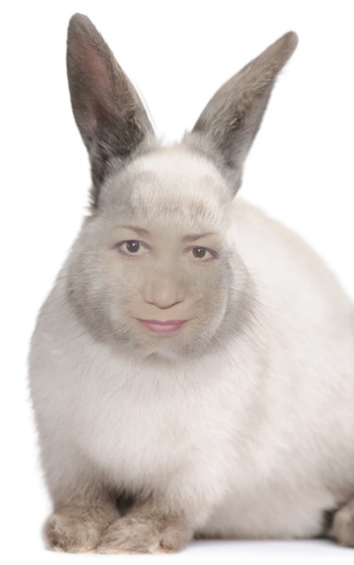 Создать мем: кролик, кролик сеня, крол валакас