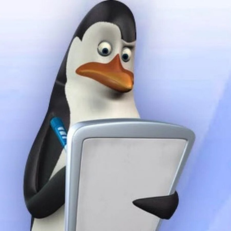 Create meme: penguins of Madagascar skipper, A penguin from Madagascar, the kowalski penguin from madagascar