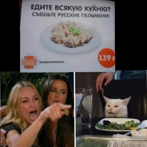 Create meme: cat, meme with a cat and two women, memes funny