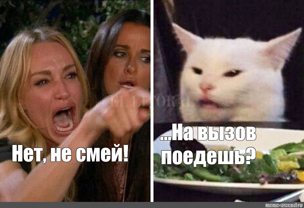 Это одна и та же картинка мем