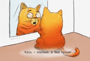 Создать мем: кот, кошка, кусь