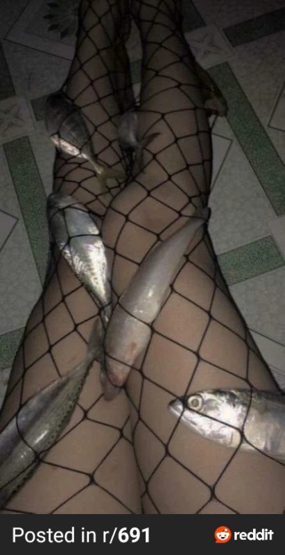 Create meme: fish girl, fish in the net, fish 