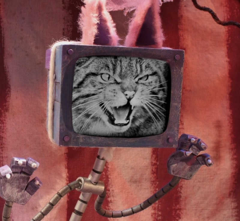 Create meme: Leopold the cat TV, cat , cat Leonard