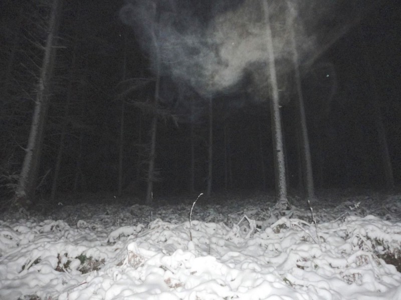 Create meme: scary winter forest, A ghost in the forest at night, night winter forest