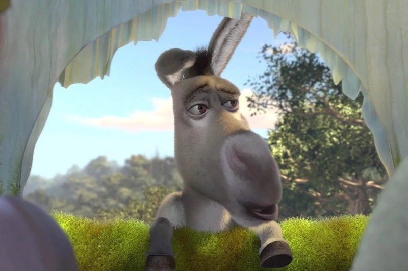 Create meme: donkey from Shrek , Shrek , donkey from Shrek