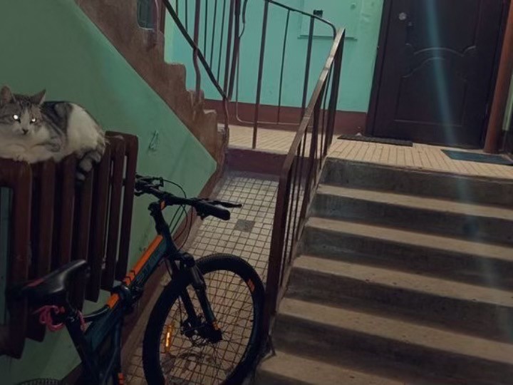 Create meme: bike in the entrance, the cat in the stairwell, in the entrances