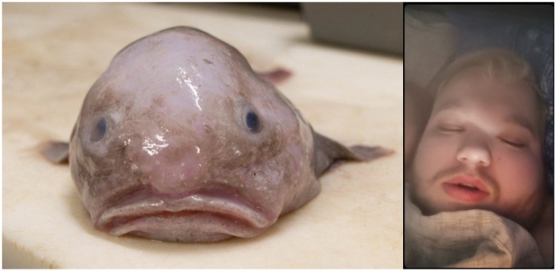 Create meme: fish drop , sad fish drop, The drop fish is funny