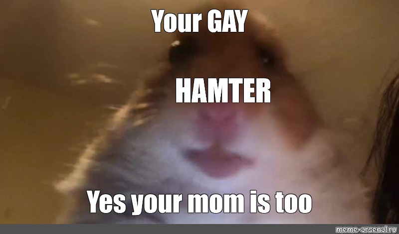 does your mom know your gay meme
