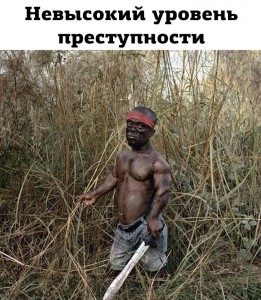 Create meme: Bushmen