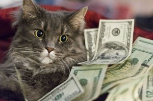 Create meme: rich cat, money, cat with money