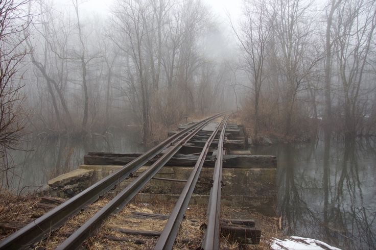 Create meme: an abandoned railway in the forest, Svetlogorsk forest old railway, the old railway