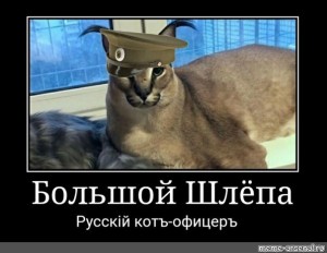 Create meme: big spanking russian cat, slap big russian cat interview, caracal slap