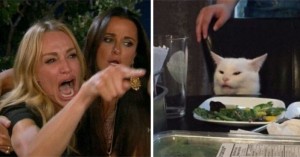 Create meme: meme woman shouting at the cat, the meme with the cat at the table and girls, memes with cats