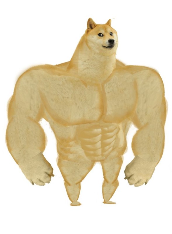 Create meme: meme dogs jock, inflated dog meme, meme the jock dog