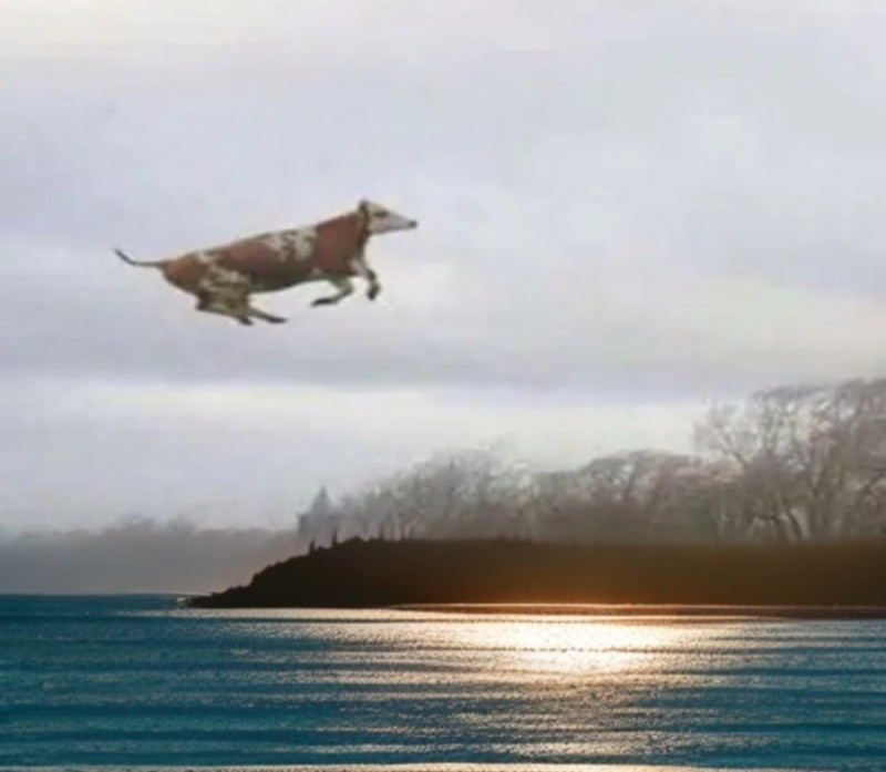 Create meme: The flying cow meme, flying dog, funny 