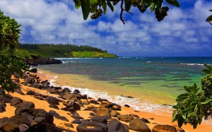 Create meme: beach, maui, the Hawaiian Islands