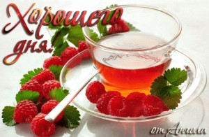 Create meme: drinks, tea with raspberries