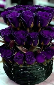 Create meme: blue roses, purple roses