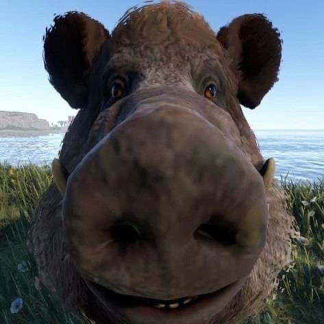 Create meme: wild boar from stranded deep, rust steam, pig 