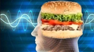 Create meme: the human brain, hamburger, hamburger