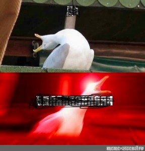 Create meme: screaming Gus meme, gull laughing meme, screaming Seagull meme