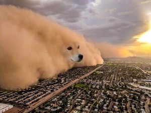 Create meme: doge meme, dust storm