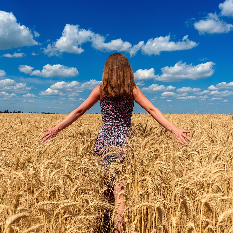 Create meme: wheat fields, woman , beautiful girl in the field