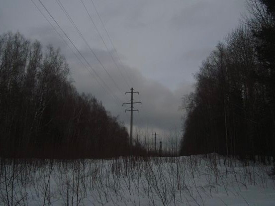 Create meme: moose island power line, gaitolovo power line clearing, nature 