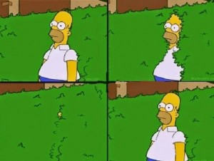 Create meme: Homer Simpson goes into the bushes, meme Homer Simpson, Homer Simpson