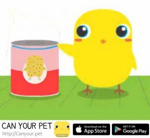 Create meme: can you pet, cartoon, Emoji chicken PNG